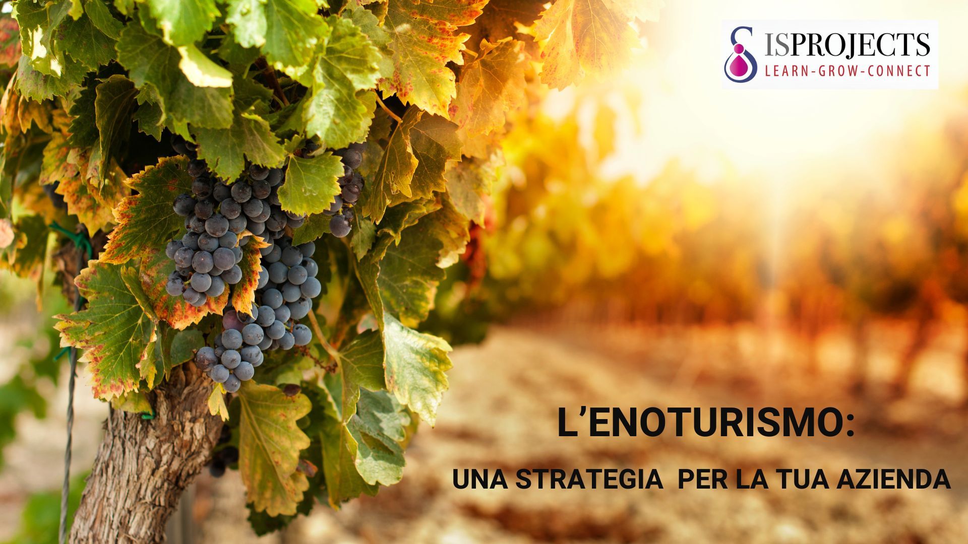 enoturismo1